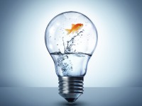 energy change concept