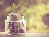 plant growing out of coins with filter effect retro vintage style