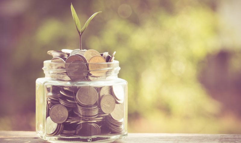 plant growing out of coins with filter effect retro vintage style